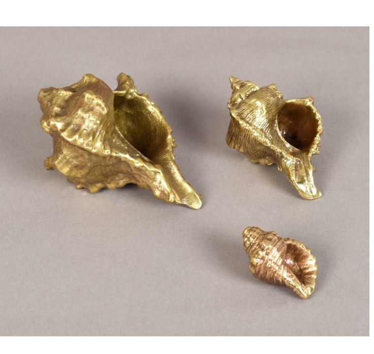 Golden Conch Shell Decorative Set – Luxury Coastal Accent Collection